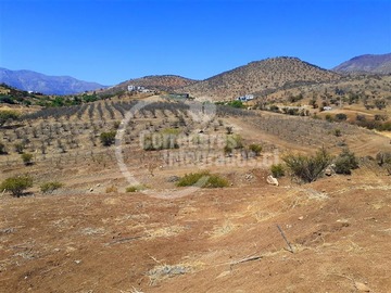 Imagen 8