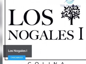 Imagen 10