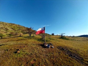 Imagen 11
