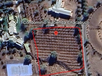 Imagen 13