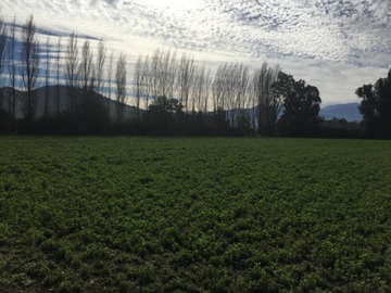 Venta / Parcela / Colina