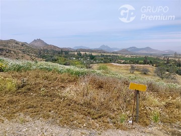 Imagen 14