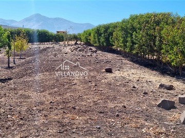 Imagen 6