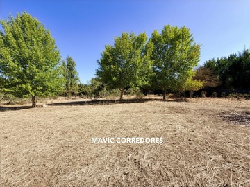 Imagen 16