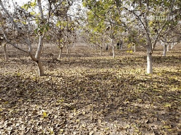 Imagen 8