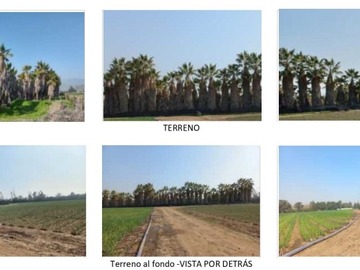Imagen 6
