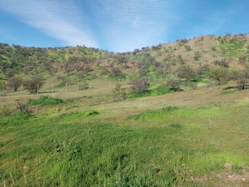 Imagen 9
