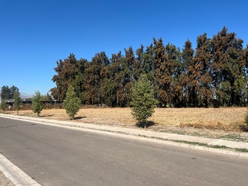 Venta / Parcela / Colina