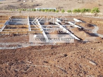 Imagen 7