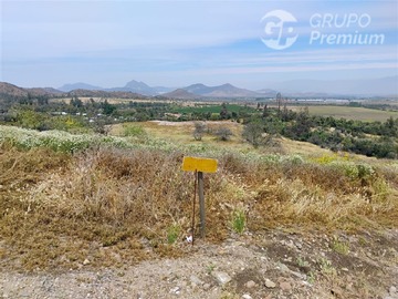 Imagen 7