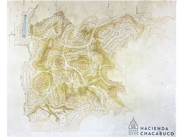 Imagen 11