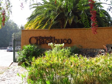 Imagen 8