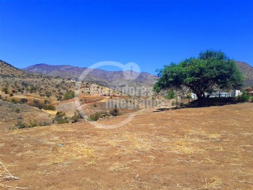 Imagen 9