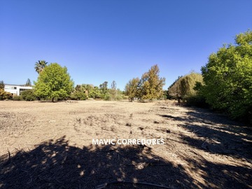 Imagen 9