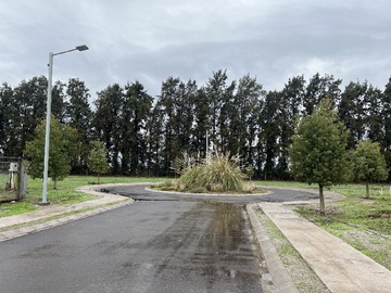 Imagen 9