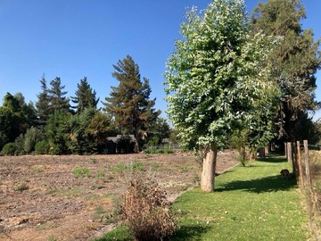 Venta / Parcela / Colina