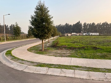 Venta / Parcela / Colina