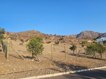 Imagen 5