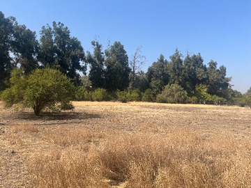 Venta / Parcela / Colina