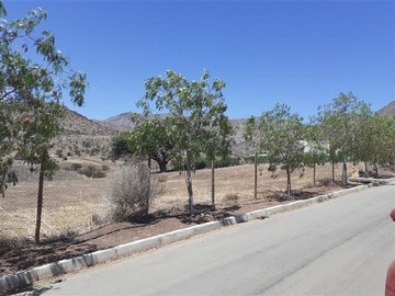 Venta / Parcela / Colina