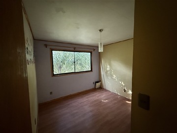 Imagen 13