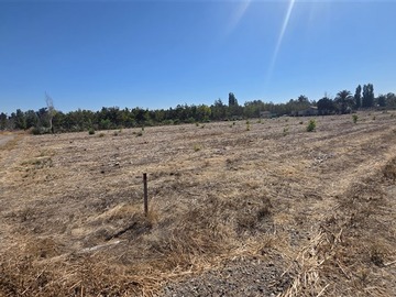 Venta / Parcela / Colina