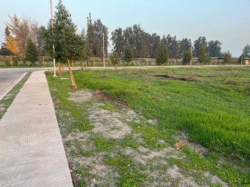 Imagen 4