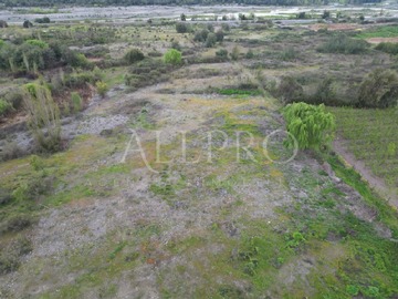 Imagen 8