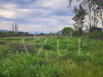 Imagen 14