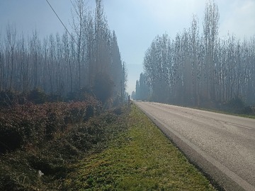 Imagen 7
