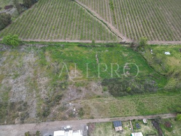 Imagen 7