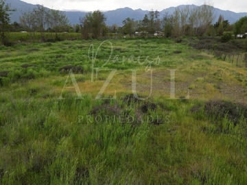 Imagen 7