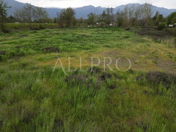 Imagen 11