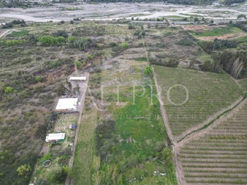 Imagen 5