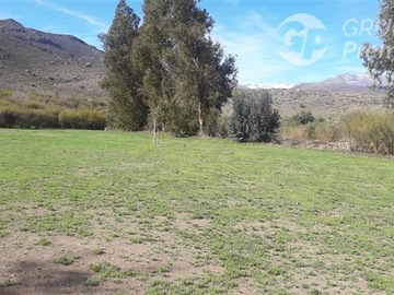 Imagen 5
