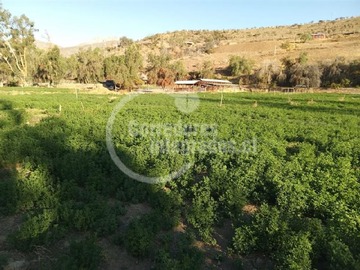 Venta / Parcela / Combarbalá