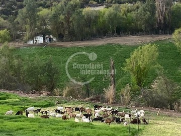 Imagen 12