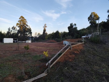 Imagen 9
