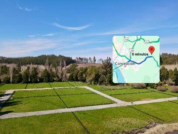 Venta / Parcela / Concepción