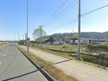 Imagen 5