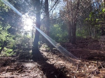 Venta / Parcela / Concepción