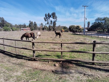 Venta / Parcela / Concón