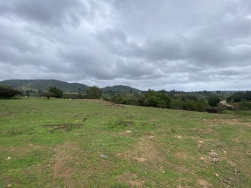 Venta / Parcela / Concón