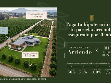 Imagen 11