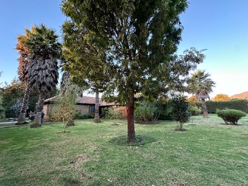 Imagen 9