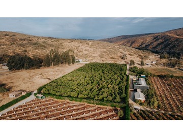 Venta / Parcela / Concón