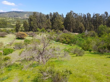 Venta / Parcela / Concón