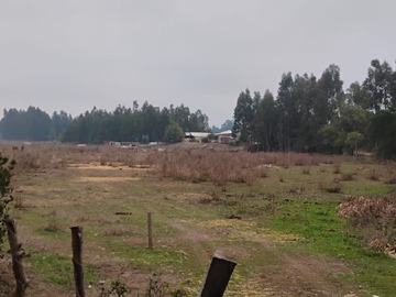 Imagen 9