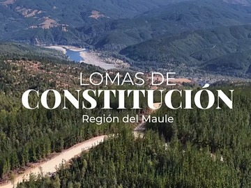 Venta / Parcela / Constitución