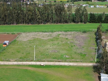 Imagen 11